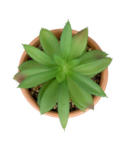 GloboStar® Artificial Garden SUCCULENT ALOE POTTED PLANT 21040 Διακοσμητικό Φυτό Αλόη Φ9 x Υ14cm
