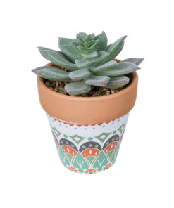 GloboStar® Artificial Garden SUCCULENT SEDEVERIA POTTED PLANT 21041 Διακοσμητικό Φυτό Σεδεβέρια Φ11x Υ14cm