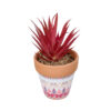 GloboStar® Artificial Garden AIR PLANT NEOPHYTUM POTTED PLANT 21042 Διακοσμητικό Φυτό Νεόφυτο Φ12 x Υ15cm