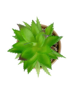 GloboStar® Artificial Garden SUCCULENT ALOE POTTED PLANT 21044 Διακοσμητικό Φυτό Αλόη Φ12 x Υ16cm