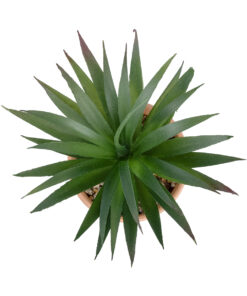 GloboStar® Artificial Garden SUCCULENT SANSEVIERIA POTTED PLANT 21047 Διακοσμητικό Φυτό Σανσεβιέρια Φ16x Υ20cm