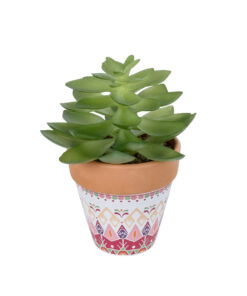 GloboStar® Artificial Garden SUCCULENT ECHEVERIA POTTED PLANT 21048 Διακοσμητικό Φυτό Εχεβέρια Φ13 x Υ18cm