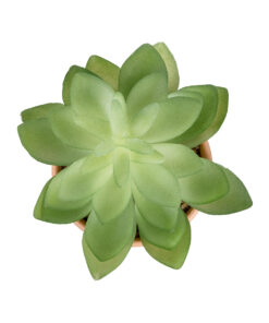 GloboStar® Artificial Garden SUCCULENT ECHEVERIA POTTED PLANT 21048 Διακοσμητικό Φυτό Εχεβέρια Φ13 x Υ18cm