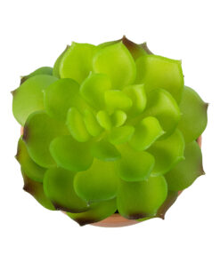 GloboStar® Artificial Garden SUCCULENT ECHEVERIA 21049 Διακοσμητικό Φυτό Παχύφυτο Εχεβέρια Υ14cm