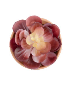 GloboStar® Artificial Garden SUCCULENT ECHEVERIA POTTED PLANT 21050 Διακοσμητικό Φυτό Εχεβέρια Φ10 x Υ13cm