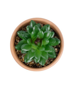 GloboStar® Artificial Garden SUCCULENT SANSEVIERIA POTTED PLANT 21051 Διακοσμητικό Φυτό Σανσεβιέρια Φ8x Υ14cm