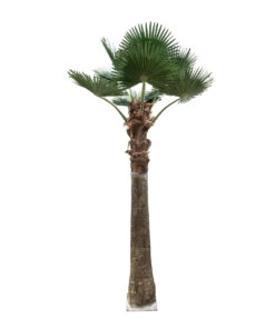 GloboStar® Artificial Garden PLANT PALM TREE 21055 Διακοσμητικό Δέντρο Φοίνικα Φ240 x Υ400cm