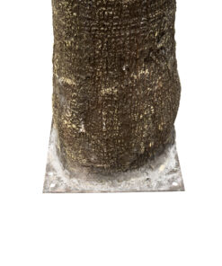 GloboStar® Artificial Garden PLANT PALM TREE 21056 Διακοσμητικό Δέντρο Φοίνικα Φ240 x Υ500cm