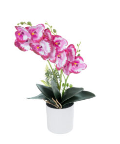 GloboStar® Artificial Garden PINK + FUCHSIA ORCHID 21079 Διακοσμητικό Φυτό Ροζ – Φούξια Ορχιδέα Υ45cm