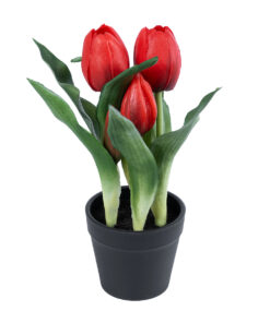 GloboStar® Artificial Garden RED TULIP 21094 Διακοσμητικό Φυτό Κόκκινη Τουλίπα Υ23cm