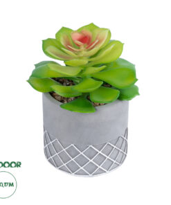 GloboStar® Artificial Garden SUCCULENT SEDEVERIA 21095 Διακοσμητικό Φυτό Παχύφυτο Σεντεβέρια Υ17cm