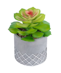 GloboStar® Artificial Garden SUCCULENT SEDEVERIA 21095 Διακοσμητικό Φυτό Παχύφυτο Σεντεβέρια Υ17cm