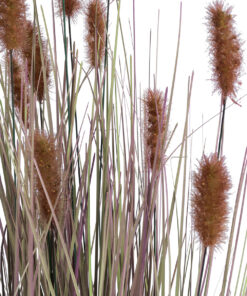 GloboStar® Artificial Garden BROWN LAGURUS 21099 Διακοσμητικό Φυτό Καφέ Λαγοουρά Υ70cm