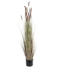 GloboStar® Artificial Garden BROWN LAGURUS 21101 Διακοσμητικό Φυτό Καφέ Λαγοουρά Υ140cm