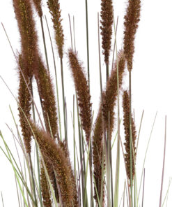 GloboStar® Artificial Garden BROWN LAGURUS 21101 Διακοσμητικό Φυτό Καφέ Λαγοουρά Υ140cm