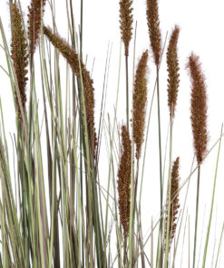 GloboStar® Artificial Garden BROWN LAGURUS 21103 Διακοσμητικό Φυτό Καφέ Λαγοουρά Υ180cm