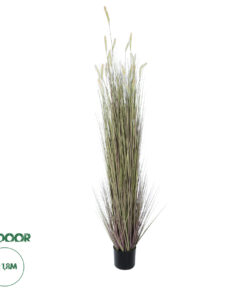 GloboStar® Artificial Garden BEIGE LAGURUS 21104 Διακοσμητικό Φυτό Μπεζ Λαγοουρά Υ180cm