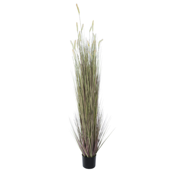 GloboStar® Artificial Garden BEIGE LAGURUS 21104 Διακοσμητικό Φυτό Μπεζ Λαγοουρά Υ180cm