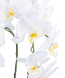 GloboStar® Artificial Garden WHITE ORCHID 21117 Διακοσμητικό Φυτό Λευκή Ορχιδέα Υ45cm