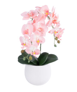 GloboStar® Artificial Garden SALMON ORCHID 21118 Διακοσμητικό Φυτό Ροζ-Πορτοκαλί Ορχιδέα Υ45cm