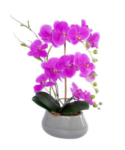 GloboStar® Artificial Garden HOT PINK ORCHID 21119 Διακοσμητικό Φυτό Έντονο Ροζ Ορχιδέα Υ43cm