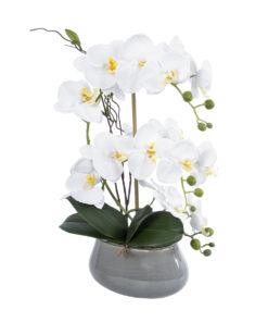 GloboStar® Artificial Garden WHITE ORCHID 21120 Διακοσμητικό Φυτό Λευκή Ορχιδέα Υ43cm