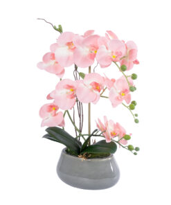 GloboStar® Artificial Garden SALMON PINK ORCHID 21122 Διακοσμητικό Φυτό Ροζ-Πορτοκαλί Ορχιδέα Υ43cm
