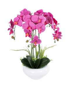 GloboStar® Artificial Garden DARK PINK ORCHID 21123 Διακοσμητικό Φυτό Φούξια Ορχιδέα Υ50cm