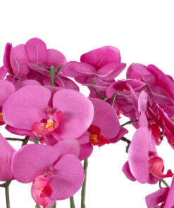 GloboStar® Artificial Garden DARK PINK ORCHID 21123 Διακοσμητικό Φυτό Φούξια Ορχιδέα Υ50cm