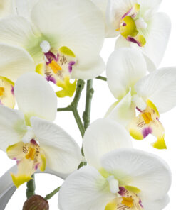 GloboStar® Artificial Garden WHITE ORCHID 21128 Διακοσμητικό Φυτό Λευκή Ορχιδέα Υ39cm