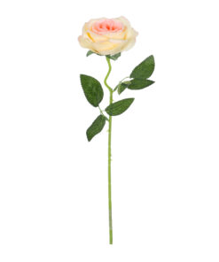GloboStar® Artificial Garden CHAMPAGNE ROSE BRANCH 21141 Τεχνητό Διακοσμητικό Κλαδί Σαμπανιζέ Τριαντάφυλλο Y50cm