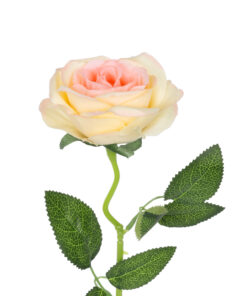 GloboStar® Artificial Garden CHAMPAGNE ROSE BRANCH 21141 Τεχνητό Διακοσμητικό Κλαδί Σαμπανιζέ Τριαντάφυλλο Y50cm