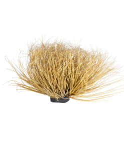 GloboStar® Artificial Garden GRASS BUSH PLANT 21165 Τεχνητό Διακοσμητικό Φυτό Θάμνος Grass Π50cm Y30cm