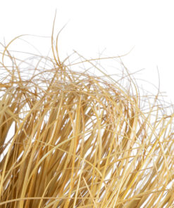 GloboStar® Artificial Garden GRASS BUSH PLANT 21165 Τεχνητό Διακοσμητικό Φυτό Θάμνος Grass Π50cm Y30cm