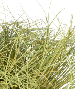 GloboStar® Artificial Garden GRASS BUSH PLANT 21166 Τεχνητό Διακοσμητικό Φυτό Θάμνος Grass Π50cm Y30cm