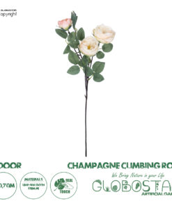 GloboStar® Artificial Garden CHAMPAGNE CLIMBING ROSE BRANCH 21183 Τεχνητό Διακοσμητικό Κλαδί Τριαντάφυλλο Σαμπανιζέ Y70cm