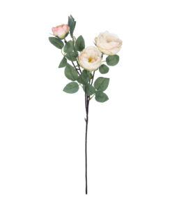 GloboStar® Artificial Garden CHAMPAGNE CLIMBING ROSE BRANCH 21183 Τεχνητό Διακοσμητικό Κλαδί Τριαντάφυλλο Σαμπανιζέ Y70cm