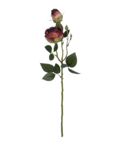 GloboStar® Artificial Garden RED DAMASK CLIMBING ROSE BRANCH 21197 Τεχνητό Διακοσμητικό Κλαδί Τριαντάφυλλο Κόκκινο Y55cm