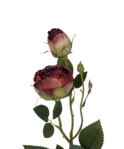 GloboStar® Artificial Garden RED DAMASK CLIMBING ROSE BRANCH 21197 Τεχνητό Διακοσμητικό Κλαδί Τριαντάφυλλο Κόκκινο Y55cm