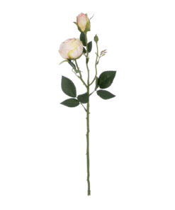 GloboStar® Artificial Garden CHAMPAGNE DAMASK CLIMBING ROSE BRANCH 21198 Τεχνητό Διακοσμητικό Κλαδί Τριαντάφυλλο Σαμπανιζέ Y55cm