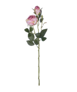GloboStar® Artificial Garden PINK DAMASK CLIMBING ROSE BRANCH 21199 Τεχνητό Διακοσμητικό Κλαδί Τριαντάφυλλο Σαμπανιζέ Y55cm