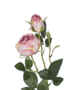 GloboStar® Artificial Garden PINK DAMASK CLIMBING ROSE BRANCH 21199 Τεχνητό Διακοσμητικό Κλαδί Τριαντάφυλλο Σαμπανιζέ Y55cm