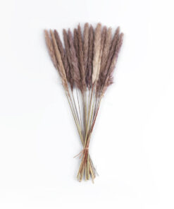 GloboStar® Artificial Garden REAL DRIED BROWN PAMPAS GRASS BUNCH 21215 Αποξηραμένο Διακοσμητικό Μπουκέτο Pampas Kάφε Y50cm