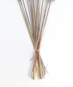 GloboStar® Artificial Garden REAL DRIED BROWN PAMPAS GRASS BUNCH 21215 Αποξηραμένο Διακοσμητικό Μπουκέτο Pampas Kάφε Y50cm