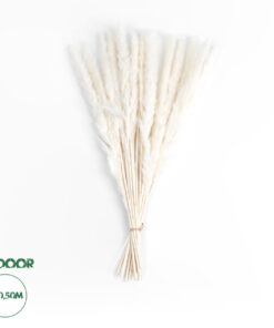 GloboStar® Artificial Garden REAL DRIED BEIGE PAMPAS GRASS BUNCH 21216 Αποξηραμένο Διακοσμητικό Μπουκέτο Pampas Μπέζ Y50cm