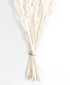 GloboStar® Artificial Garden REAL DRIED BEIGE PAMPAS GRASS BUNCH 21216 Αποξηραμένο Διακοσμητικό Μπουκέτο Pampas Μπέζ Y50cm