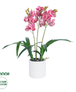 GloboStar® Artificial Garden PINK CHERRY CYMBIDIUM 21402 Διακοσμητικό Φυτό Φούξια Κυμβίδιο Υ60cm