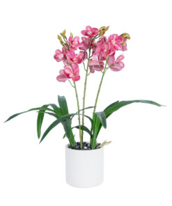 GloboStar® Artificial Garden PINK CHERRY CYMBIDIUM 21402 Διακοσμητικό Φυτό Φούξια Κυμβίδιο Υ60cm