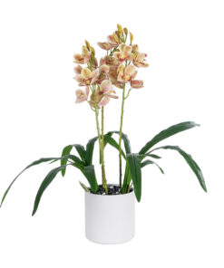GloboStar® Artificial Garden CHAMPAGNE CHERRY CYMBIDIUM 21404 Διακοσμητικό Φυτό Σαμπανιζέ Κυμβίδιο Υ60cm