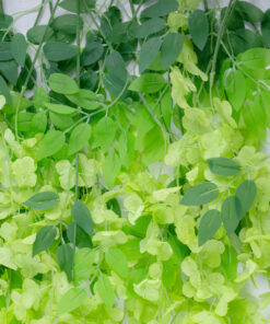 GloboStar® Artificial Garden GREEN WISTERIA FLOWER BRANCH 21514 Σετ 12 Τεχνητά Διακοσμητικά κλαδιά Βιστέριας Πράσινο Φ45 x Υ120cm